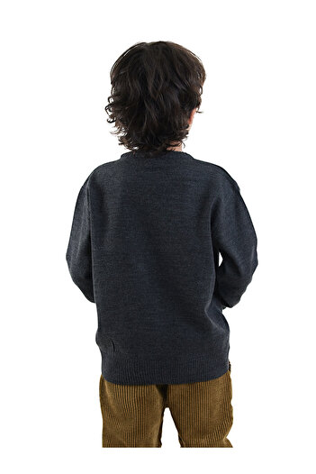 Denokids Animals Boy's Knitwear Sweater