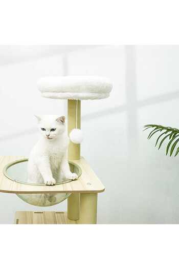 Golden cat Cat tree, Transparent space capsule, Plush jumping platform, Green cotton pad, - 55cm x 40cm x 150cm