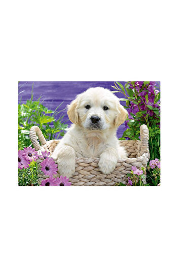 RAVENSBURGER 500 Piece Puzzle Golden Retriever148295