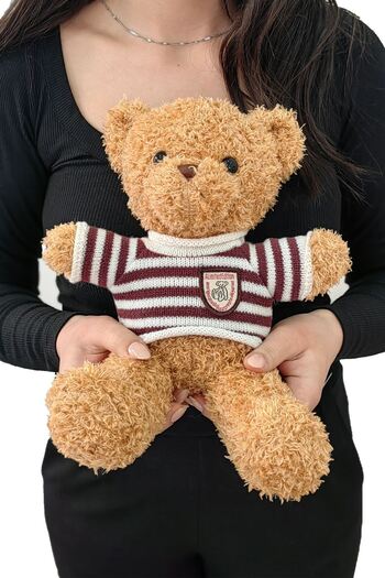 Chavin 30 cm Brown Gift Plush Teddy Bear Teddy Bear-04