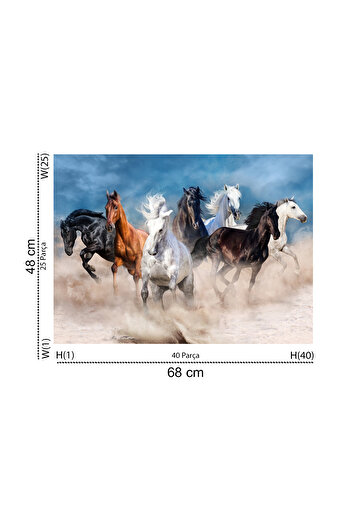 Blue Focus 1000 Piece Puzzle - Horses (HORSES)