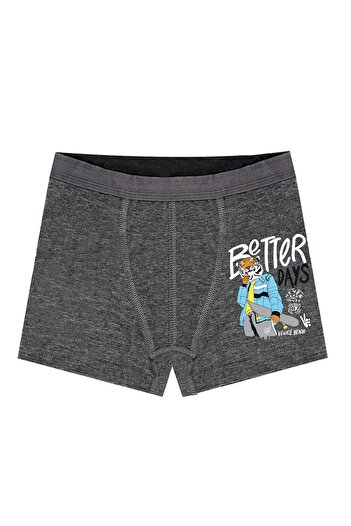 Öts Boys' Boxer 3-Pack Printed (96% Cotton - 4% Elastane)
