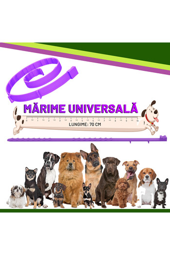 Fish & Paws Collar ®, anti-flea for dogs, adjustable and breathable