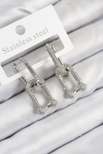 Ladies&Gentlemen Brass Zircon Stone Model Silver Color Women's Earrings
