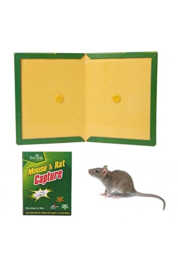 OEM Set of 10 Adhesive Mouse Traps, Book Type
