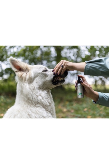 Other GREEN SANTE oral spray FOR DOGS AND CATS 100 ml