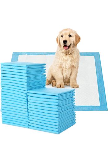 NEXIFY Disposable Absorbent Quick Drying Leak Proof Pee Pads For Potty Training For Pets 45x60cmm Pack Of 2