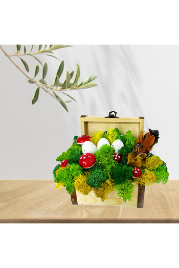 velve Handmade decoration with stabilized lichens and decorative elements, Multicolor