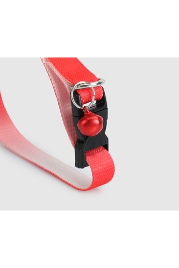 Provoq Red T1061 Ombre Red Thintasma Cat