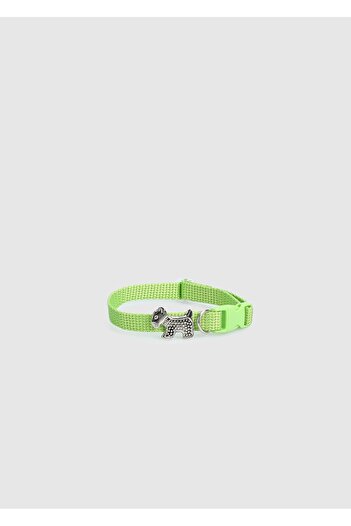 Provoq Green T1055 Green Thin Leash Cat