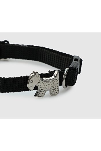 Provoq Black T1054 Black Thin Tasma Cat