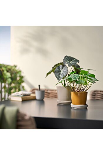 IKEA KLOTLÖNN Plant pot with saucer, in/outdoor/dark yellow light beige, 9 cm