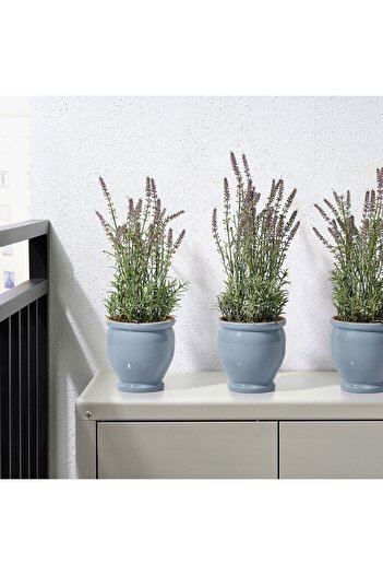hobiurun Seramik saksı, mavi, 12 cm