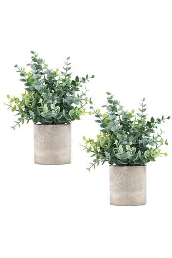 Generic 2 Pack Small Fake Plants Eucalyptus Potted Artificial Plants for Shelf Desk Home Bathroom Farmhouse