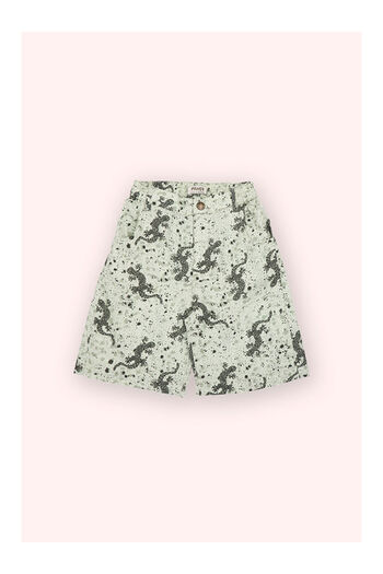 LC Waikiki Boy's Printed Shorts Green