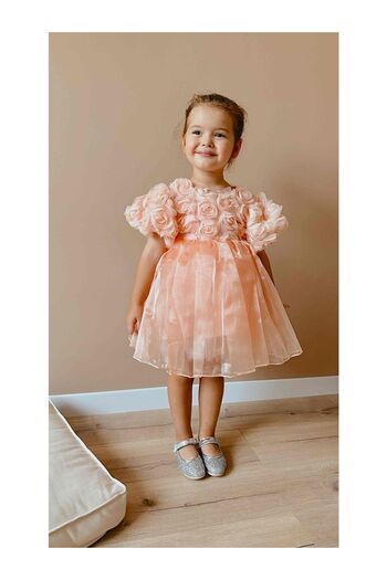 LC Waikiki Girls' Dress with Salmon Rose Detail and Tulle Skirt - Nelia