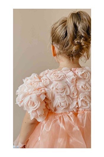 LC Waikiki Girls' Dress with Salmon Rose Detail and Tulle Skirt - Nelia