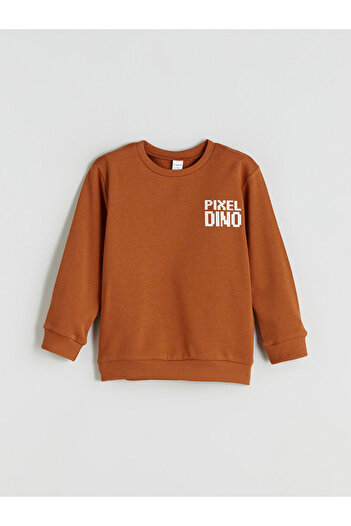LC Waikiki Crew Neck Printed Boys' Sweatshirt