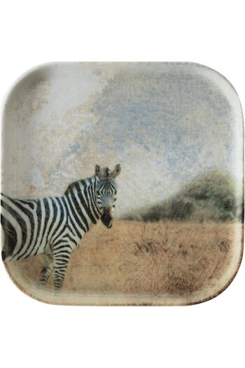 STOREMAX Goldwhirl Concept Square Plate 17Cm-Zebra Trendflash 467437