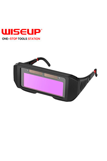 WISEUP electronic glasses