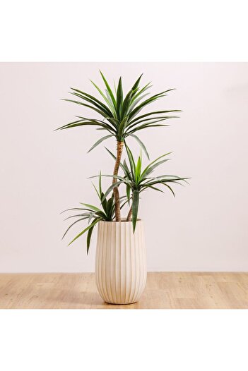 Danube Home Off-White Fiber Clay Pot with Wide Ribs - 35x35x55 CM - Durable Outdoor Garden Accessory
