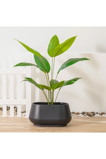 Danube Home Dark Grey Fiber Clay Pot - Smooth Design, 60x37x30 CM - Stylish Outdoor Garden Accessory