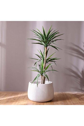 Danube Home Fiber Clay Pot with Symmetry Stripes - White - 42x42x29 CM - Stylish Outdoor Garden Accessory