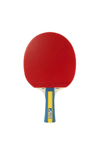 Other JOOLA Team Master Table Tennis Racket