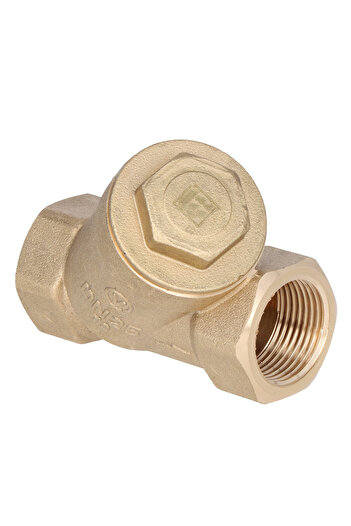 Other 1 inch inclined gas filter