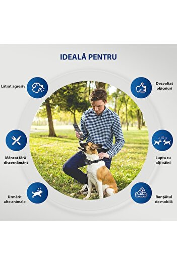 OEMN Electric Collar with Remote, HoneyPet