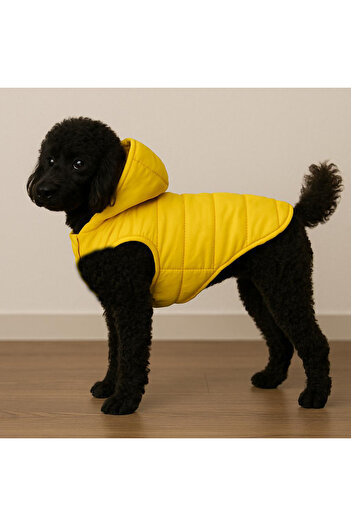 Buddy Store Quilted Lined Waterproof Hooded Dog Coat - Easy to Put on Fit