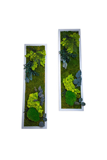 Narium Tablou din licheni 100×20 cm