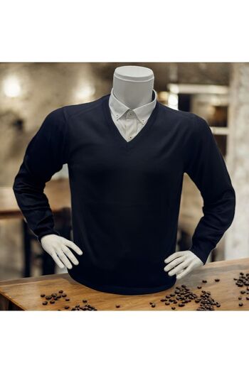 GÖMLEK GALERİSİ Men's Regular Fit Plain V-Neck Wool Knit Sweater
