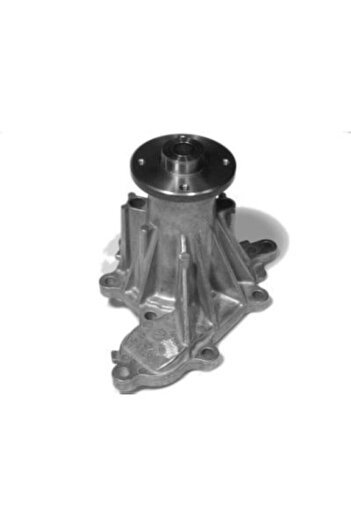 AISIN Pompa apa, set filtre de schimb, Nissan PATHFINDER III (R51)