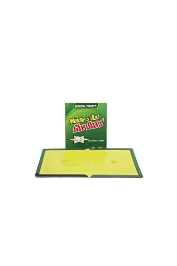 China Set 10 Adhesive Traps for Mice and Rats