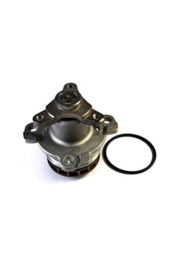 Thermotec Pompa apa, set filtre de schimb, Renault MASTER III Bus (JV)Thermotec