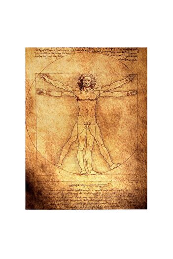 Tablou Canvas Painting drawing The Vitruvian Man by Leonardo da Vinci, brown, code 1425