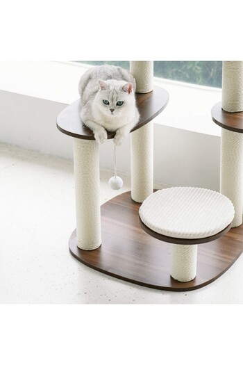 Golden cat Solid wood modern style cat jumping platform Size: 60 X 60 X 112cm