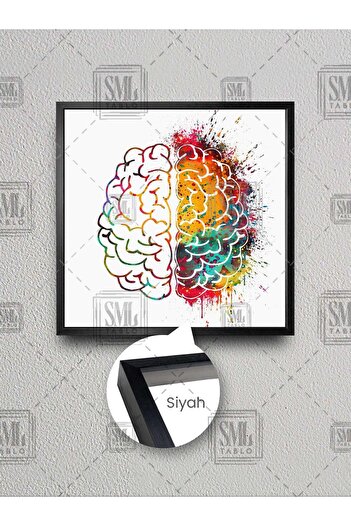 SML TABLO Pictură pe pânză pătrată înrămată, colorată, pentru neurologie a creierului drept și stâng, decor pentru sala de examinare a neurologului