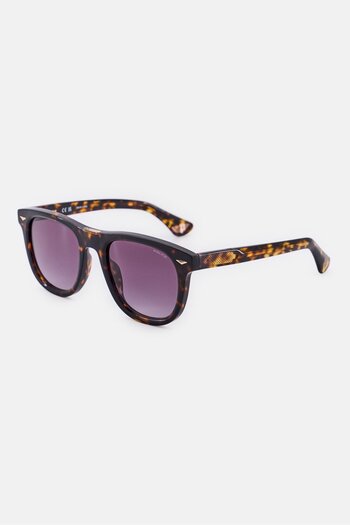 Police Men SPLL87V Square Sunglasses, Havana Brown