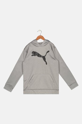 Puma Kids Boy Sportswear Fit Long Sleeve Outdoor Sweatshirt, Grey