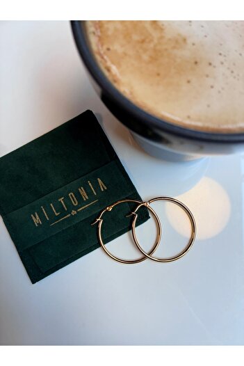Miltonia Hoop Steel Earrings