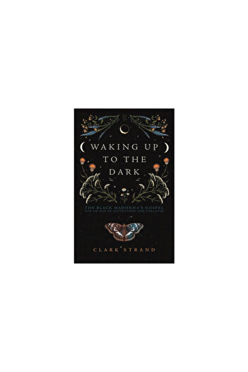 Monkfish Book Pub Co Waking Up to the Dark: The Black Madonna's Gospel for an Age of Extinction and Collapse