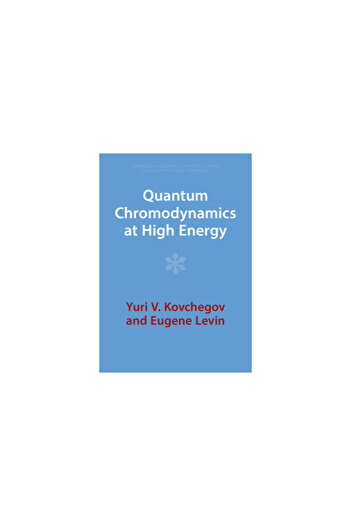 Cambridge Quantum Chromodynamics at High Energy