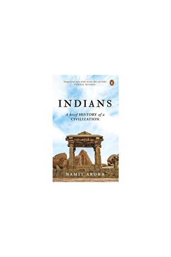 India Viking Indians: A Brief History of a Civilization