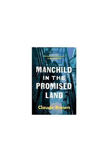 Touchstone Press Manchild in the Promised Land