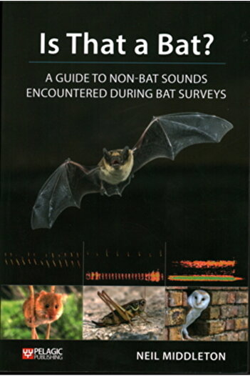 Pelagic Pub Ltd Is That a Bat?: A Guide to Non-Bat Sounds Encountered During Bat Surveys