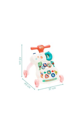 Fillikid Toy Push Walker with Activities Rose