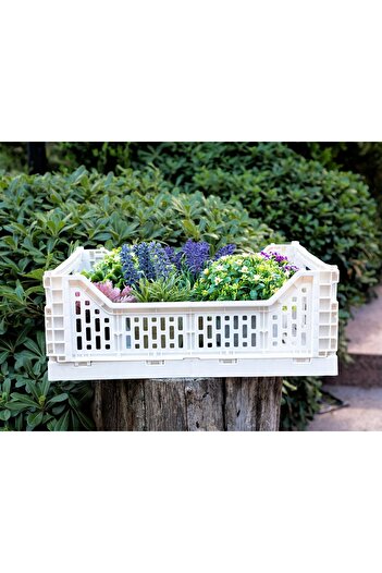 Madame Coco Brett Foldable Basket