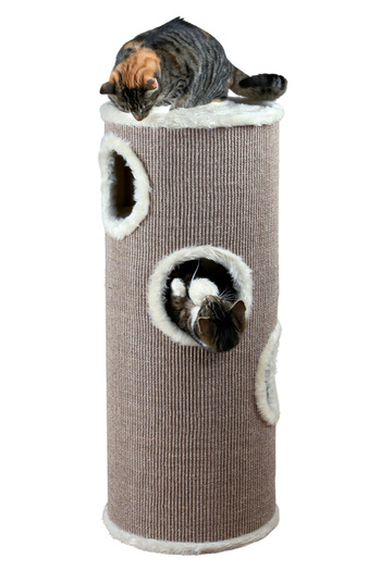 Trixie Play Set, Edoardo Tower, 40 cm/ h: 100 cm, Brown/Cream, 4338